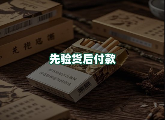 核心优势